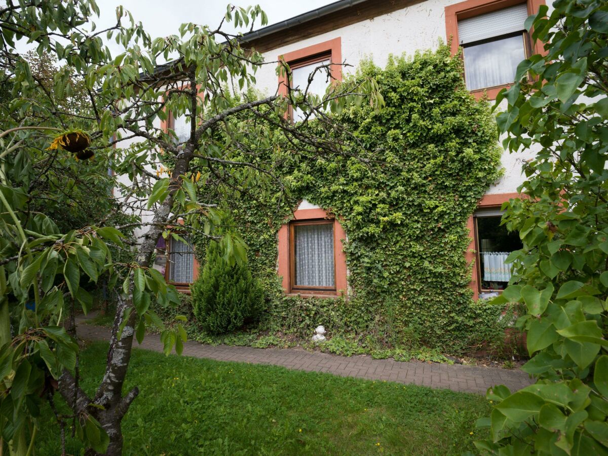 Apartment Ferienwohnung Südseite