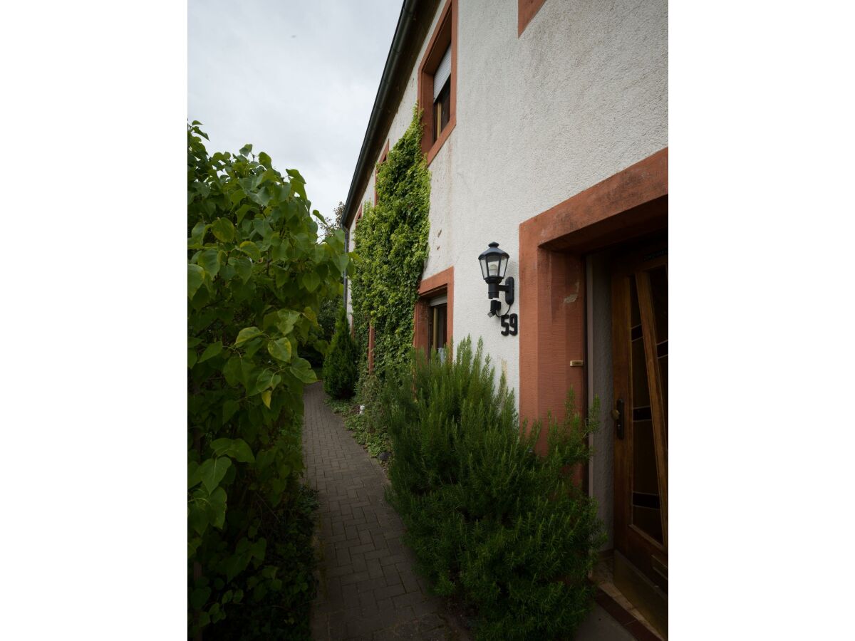 Apartment Ferienwohnung Südseite - Outdoor photo 2