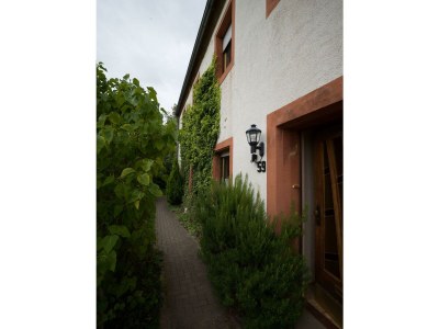 Apartment Ferienwohnung Südseite - Outdoor photo 5