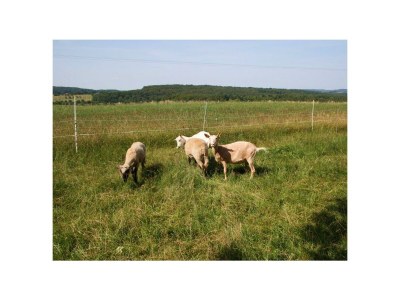 Apartment Ferienwohnung Südseite - Outdoor photo 8