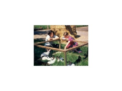 Apartment Ferienwohnung Südseite - Outdoor photo 9