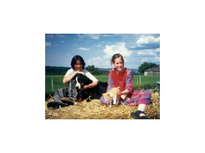 Apartment Ferienwohnung Südseite - Outdoor photo 10