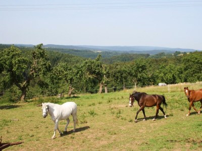 Apartment Ferienwohnung Südseite - Outdoor photo 11