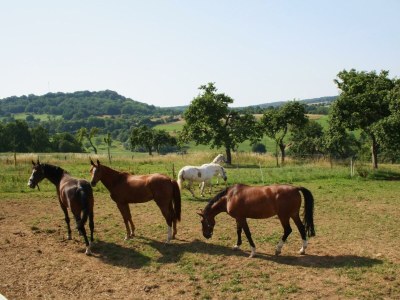 Apartment Ferienwohnung Südseite - Outdoor photo 12