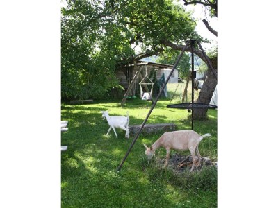 Apartment Ferienwohnung Südseite - Outdoor photo 14