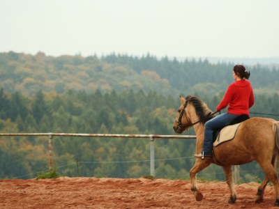 Apartment Ferienwohnung Südseite - Outdoor photo 16