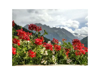 Apartment Appartement - Typ B - Outdoor photo 21