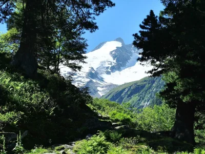 Apartment Appartement - Typ B - Outdoor photo 22