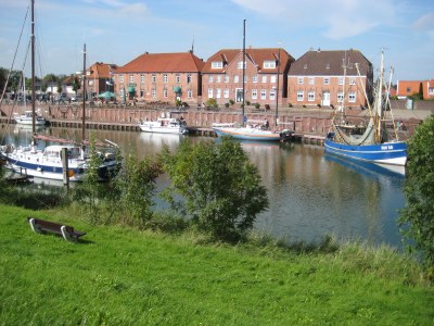 Holiday house Weissbrod - Environment photo 19