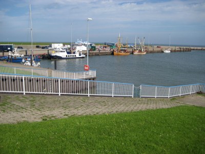 Holiday house Weissbrod - Environment photo 23