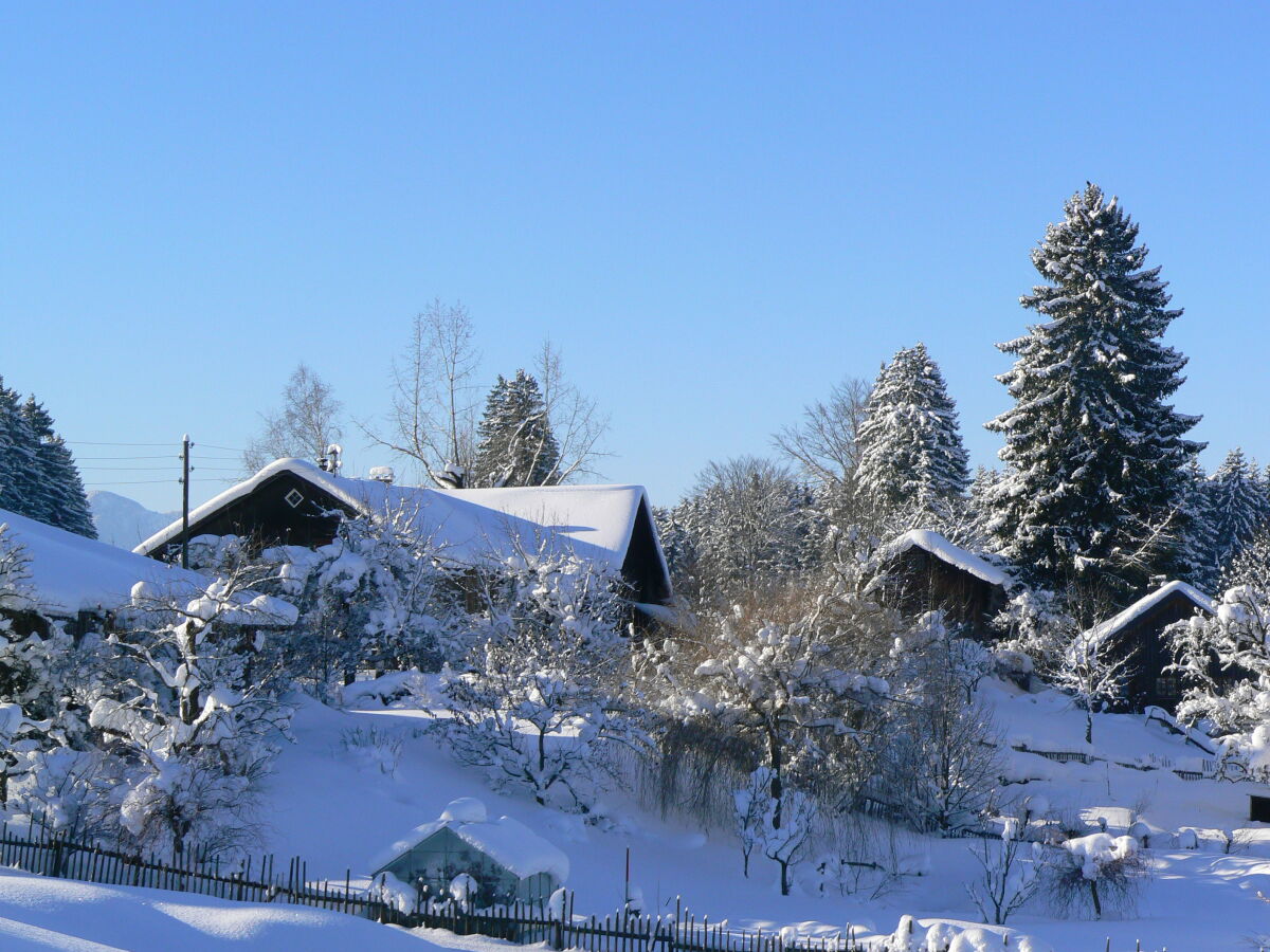 Holiday house Ecological house - Outdoor photo 3