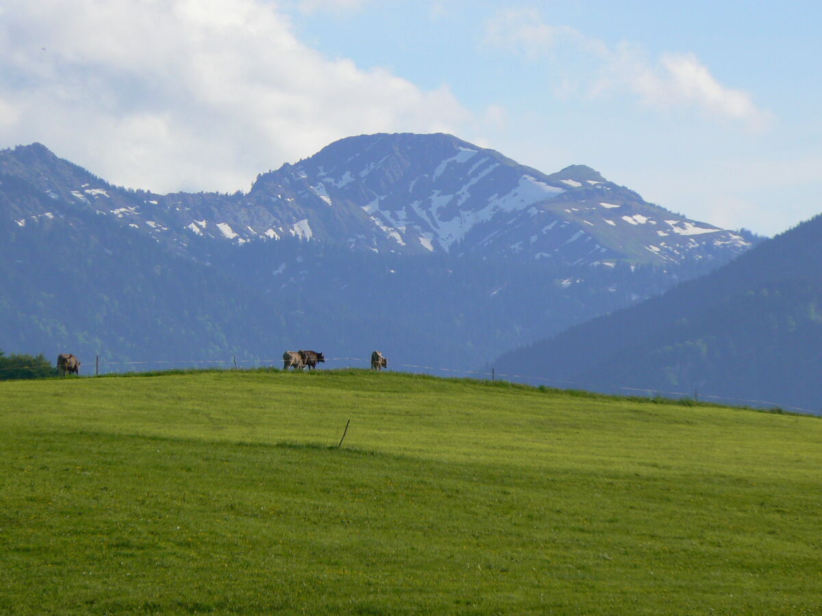 Holiday house Ecological house - Outdoor photo 5
