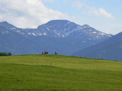 Holiday house Ecological house - Outdoor photo 5