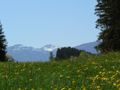 Holiday house Ecological house - Features photo 14