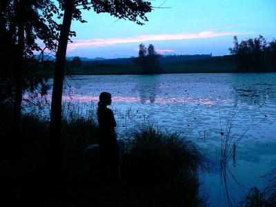 Holiday house Ecological house - Environment photo 15