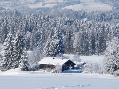 Holiday house Ecological house - Environment photo 21