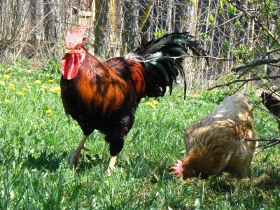 Holiday house Ecological house - Environment photo 25