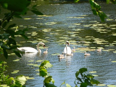 Holiday house Ecological house - Environment photo 26