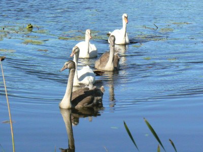 Holiday house Ecological house - Environment photo 27