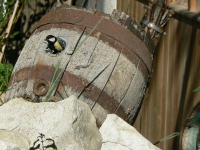 Holiday house Ecological house - Environment photo 30