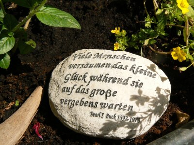 Holiday house Ecological house - Environment photo 35