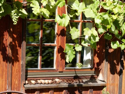 Holiday house Ecological house - Environment photo 36