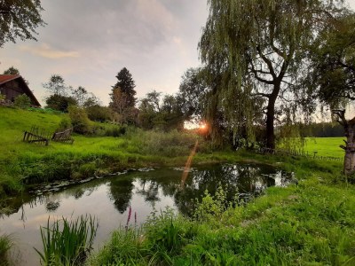 Holiday house Ecological house - Environment photo 37