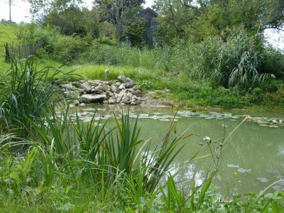 Holiday house Ecological house - Environment photo 40