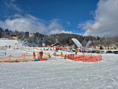 Holiday apartment Chalet 6 p with fireplace in nice skivillage - Outdoor photo 11