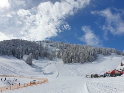 Holiday apartment Chalet 6 p with fireplace in nice skivillage - Outdoor photo 14
