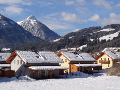 Holiday apartment Chalet 6 p with fireplace in nice skivillage - Environment photo 31