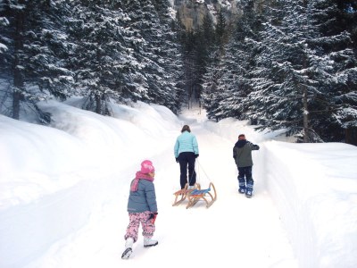 Holiday apartment Chalet 6 p with fireplace in nice skivillage - Environment photo 33