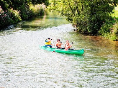 Holiday apartment Geisfeld Hof 63 - Environment photo 30