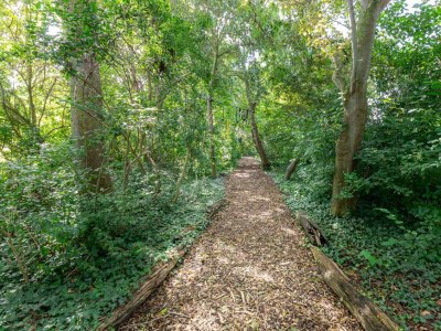 Holiday house Holiday house Aagtekerke - ZE415 - Environment photo 29