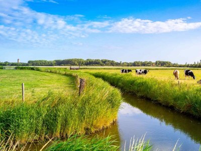 Holiday house Holiday house Aagtekerke - ZE415 - Environment photo 40