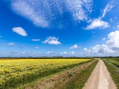 Holiday house Holiday house Aagtekerke - ZE415 - Environment photo 42