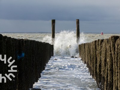 Holiday house Holiday house Koudekerke Dishoek - ZE641 - Environment photo 17