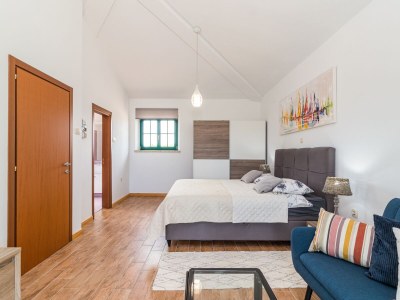 Villa Villa Boris with Private Pool - Features photo 38