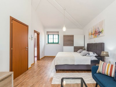 Villa Villa Boris with Private Pool - Features photo 62