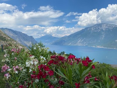 Holiday house Villa Bellavista Ustecchio - Outdoor photo 9