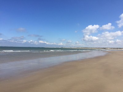 Holiday house Fork - Environment photo 21