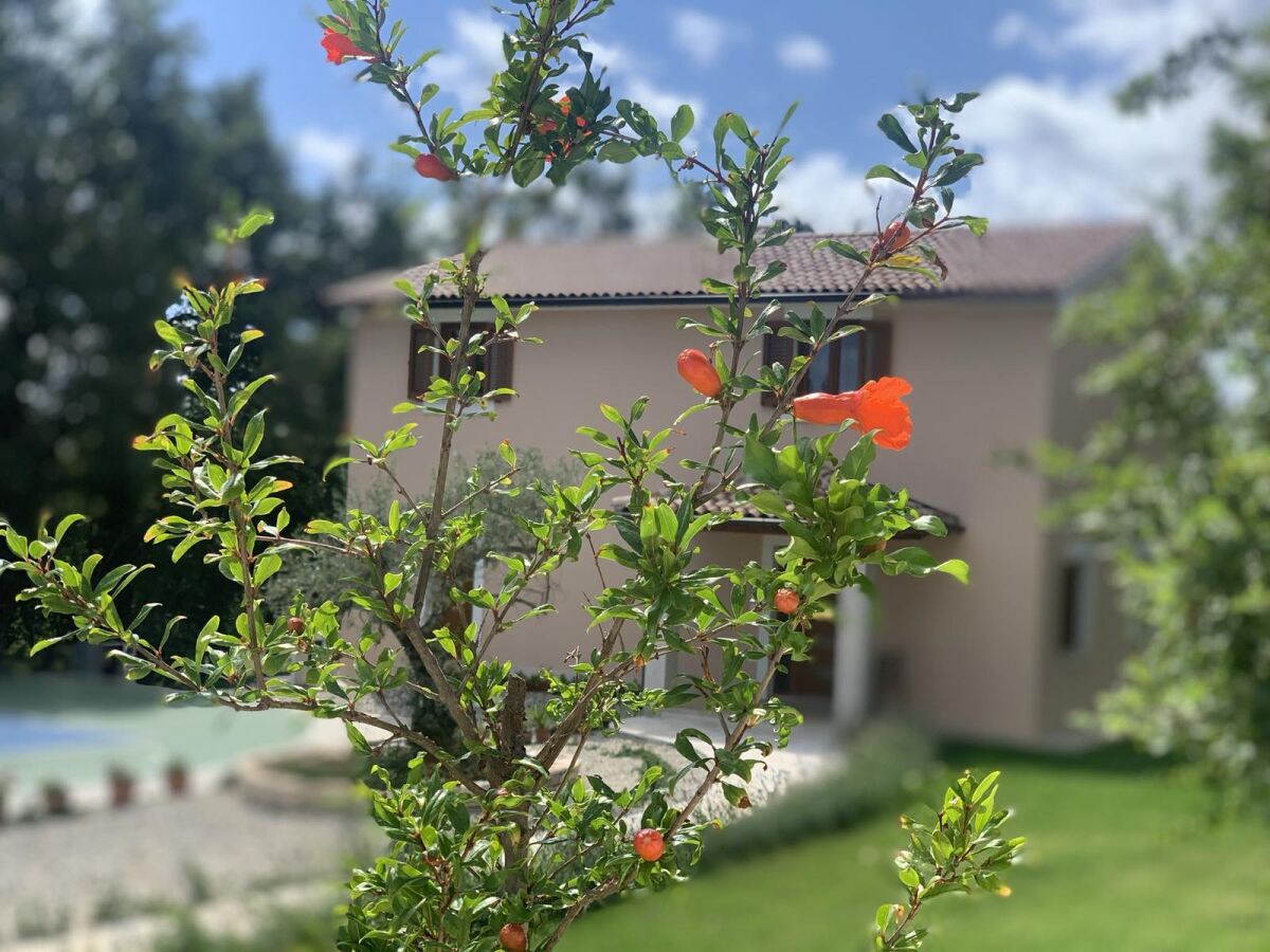 Villa House Andrijasi - Outdoor photo 3