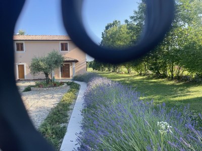 Villa House Andrijasi - Outdoor photo 13