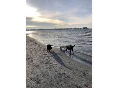 Holiday house Heimatliebe - Environment photo 33