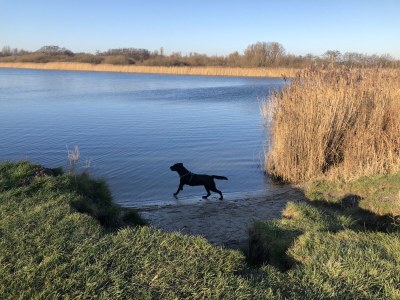 Holiday house Heimatliebe - Environment photo 37