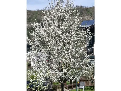 Apartment Appartement 4 - Outdoor photo 22