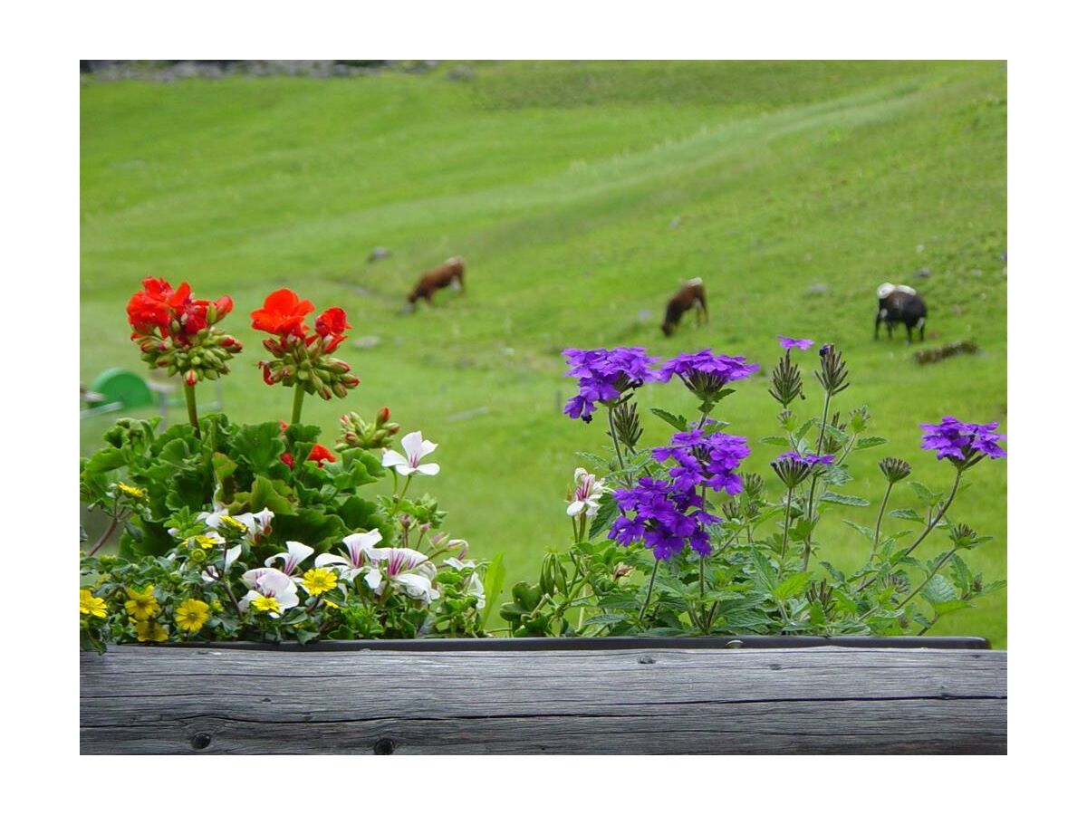 Apartment Apartment für 4-5 Personen 2 Schlafräume - Outdoor photo 4