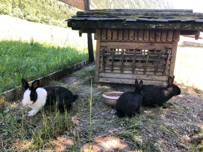 Apartment Ferienhaus - Outdoor photo 6