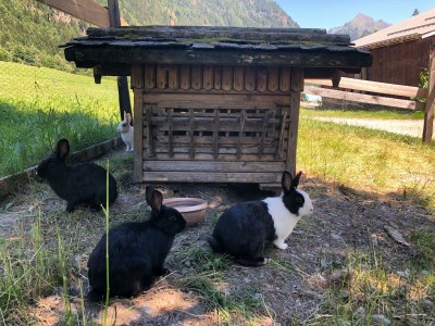 Apartment Appartement Klafferkessel - Outdoor photo 7