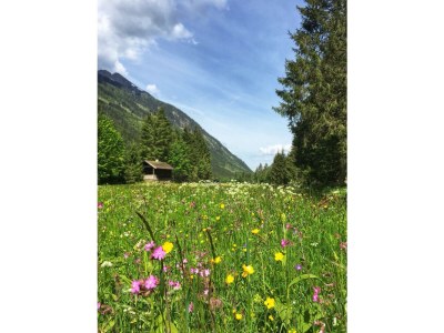 Apartment Appartement Planai - Outdoor photo 10